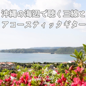 Echoes of the Coral Shore