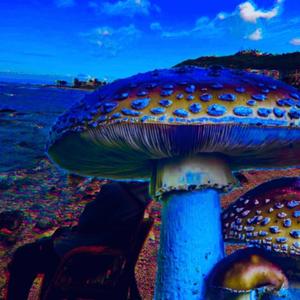 Deep mushrooms
