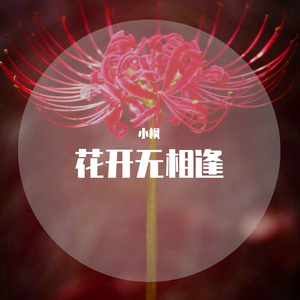 花开无相逢