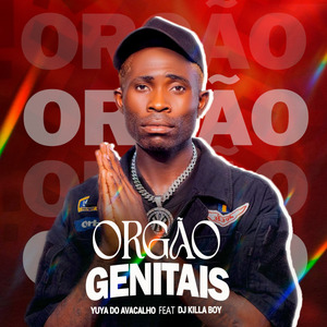 Orgão Genitais