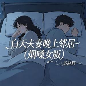 白天夫妻晚上邻居（烟嗓女版）