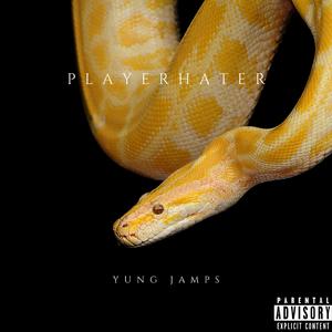 Playerhater