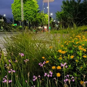 巨蟹座女孩demo（Prod.by Morrow）