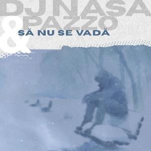 Să nu se vadă (feat. DJ Nasa)