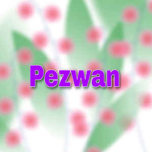 Pezwan