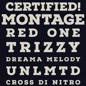 Montage (feat. Red One, Trizzy, Dreama Melody, Unlmtd & Cross Di Nitro)