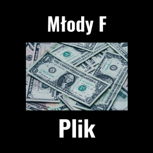 Plik