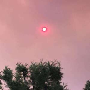 我总是一个人在练习一个人