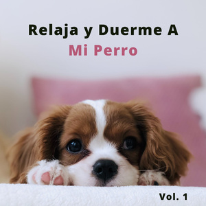 Pelo De Perro