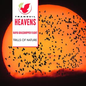 Tropical Rainstorm Aftermath