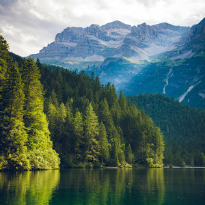 Natureza