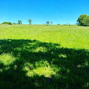 等我先说 (Cover 夏天Alex)