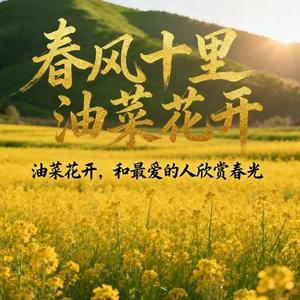 春风十里油菜花开