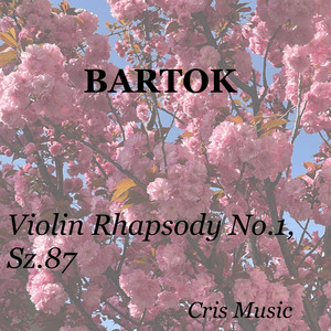 Violin Rhapsody No.1, Sz.87: 2. Friss. Allegretto moderato