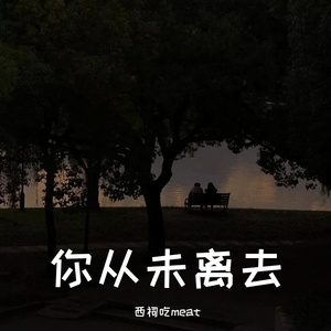 你从未离去（片段）