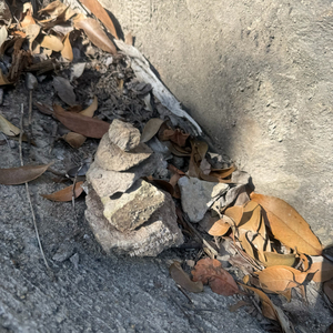 第三颗纽扣的距离