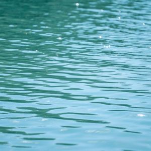 微风轻舞似梦旋