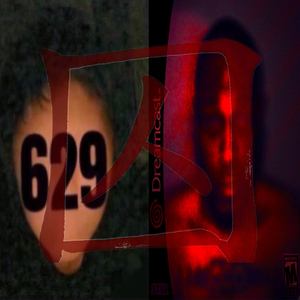 胜者为王败者寇(prod.FakeBlood)