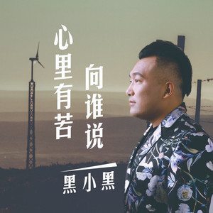 心里有苦向谁说 (DJ默涵)