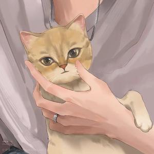 那只猫