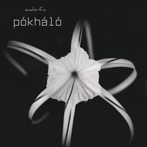 pókháló