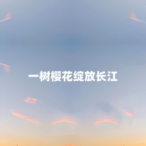 一树樱花绽放长江