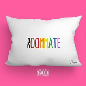 Roommate