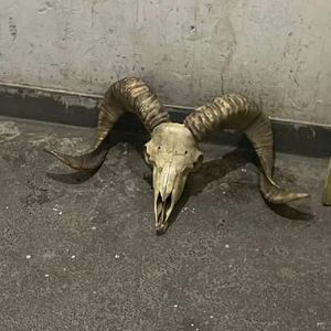 [Free] 撒旦 | EsDeeKid type beat