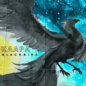 Blackbird