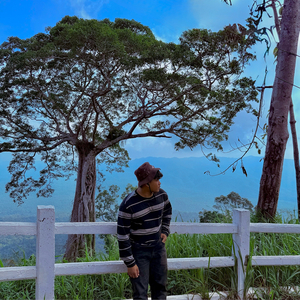 ភ្លៀងត្រជាក់