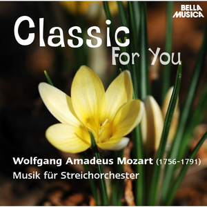"Abdelazer", Suite für Streichorchester: II. Rondo