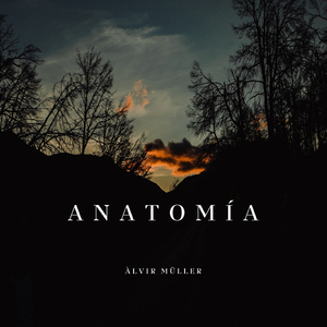 Anatomía