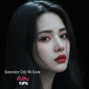 Somewhere Only We Know