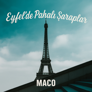 Eyfelde Pahalı Şaraplar