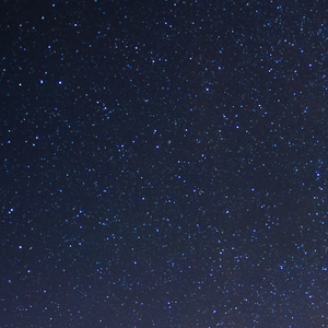 空无一人一样华丽