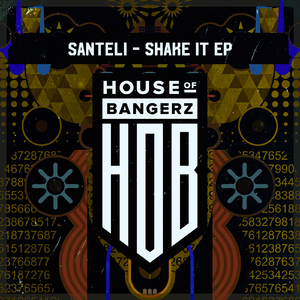 Shake It (Original Mix)