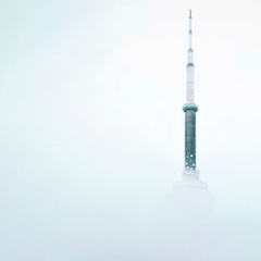 不主动怕失去，太主动怕嫌弃