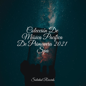 Balanceo De Palmeras