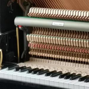 none（prod by 姚姚）