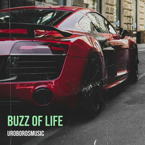 Buzz of Life