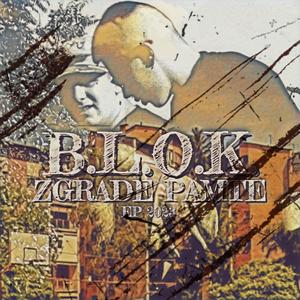 Svako Nosi Svoju Bol