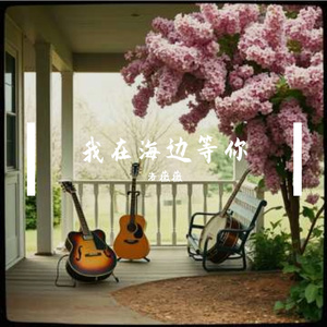 我在海边等你 伴奏