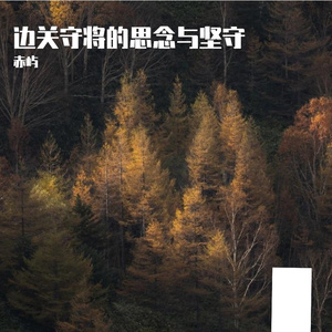 边关守将的思念与坚守