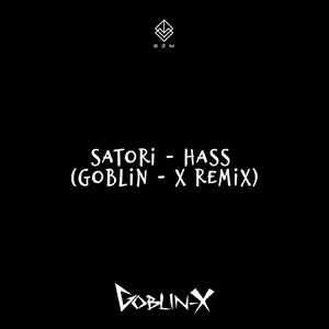 Haas (Goblin - X Remix)