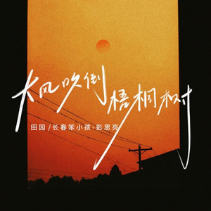 大风吹倒梧桐树 (迟三岁语录版)