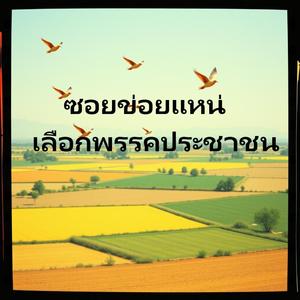 ซอยข่อยแหน่เลือกพรรคประชาชน