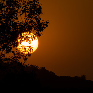 Sundream