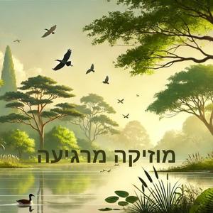 מוזיקה לנשמה - מנגינות פסנתר עם קולות טבע מרגיעים