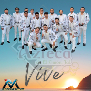 VIVE