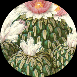 Dobagan